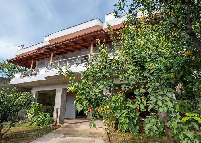 Roan Apartment *